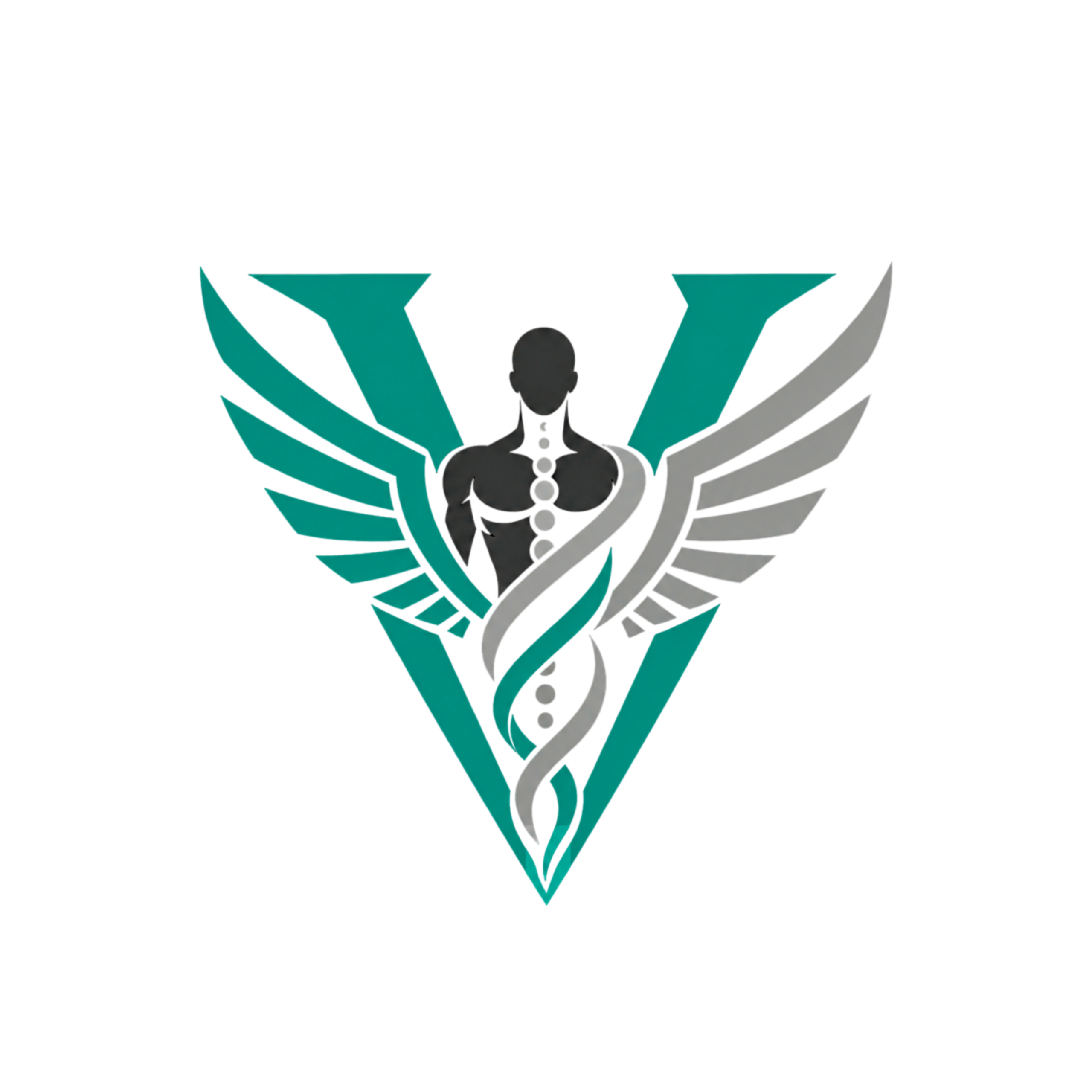 velonsystem.com